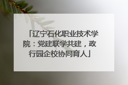 辽宁石化职业技术学院：党建联学共建，政行园企校协同育人