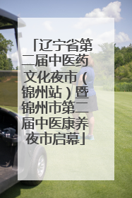 辽宁省第二届中医药文化夜市（锦州站）暨锦州市第二届中医康养夜市启幕