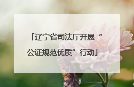 辽宁省司法厅开展“公证规范优质”行动