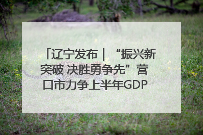 辽宁发布｜“振兴新突破 决胜勇争先”营口市力争上半年GDP增长6%左右