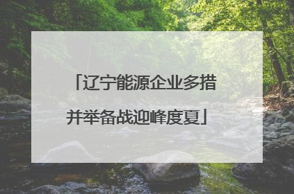 辽宁能源企业多措并举备战迎峰度夏