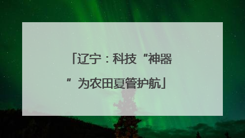 辽宁：科技“神器”为农田夏管护航