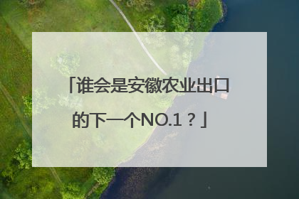 谁会是安徽农业出口的下一个NO.1？