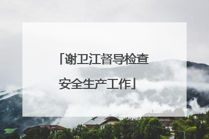 谢卫江督导检查安全生产工作