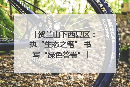 贺兰山下西夏区：执“生态之笔” 书写“绿色答卷”
