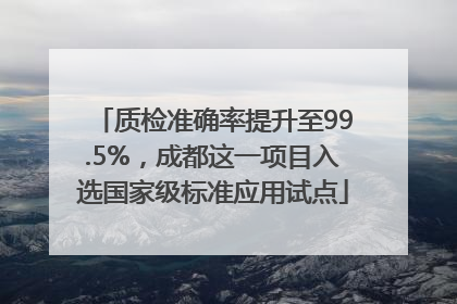 质检准确率提升至99.5%，成都这一项目入选国家级标准应用试点