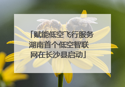 赋能低空飞行服务 湖南首个低空智联网在长沙县启动