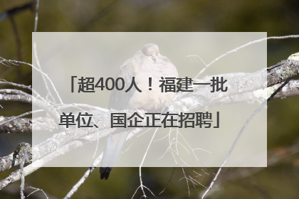 超400人！福建一批单位、国企正在招聘