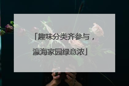 趣味分类齐参与，瀛海家园绿意浓