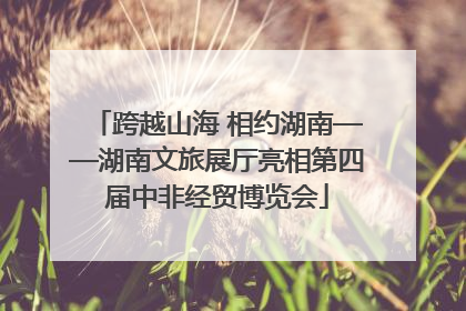 跨越山海 相约湖南——湖南文旅展厅亮相第四届中非经贸博览会