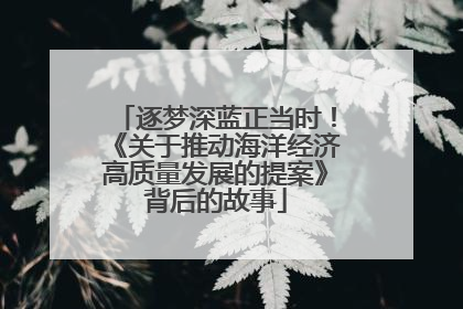 逐梦深蓝正当时！《关于推动海洋经济高质量发展的提案》背后的故事