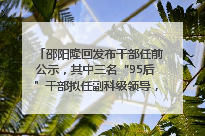 邵阳隆回发布干部任前公示，其中三名“95后”干部拟任副科级领导，均系硕士选调生
