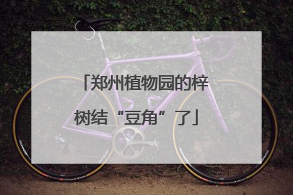 郑州植物园的梓树结“豆角”了