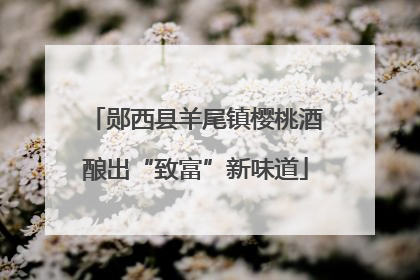 郧西县羊尾镇樱桃酒酿出“致富”新味道