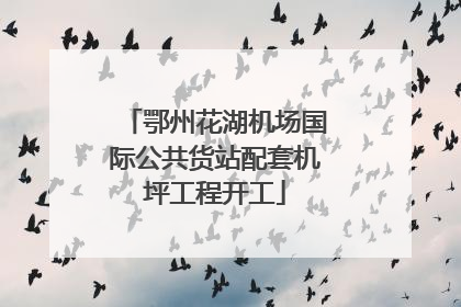 鄂州花湖机场国际公共货站配套机坪工程开工