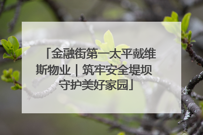 金融街第一太平戴维斯物业｜筑牢安全堤坝 守护美好家园