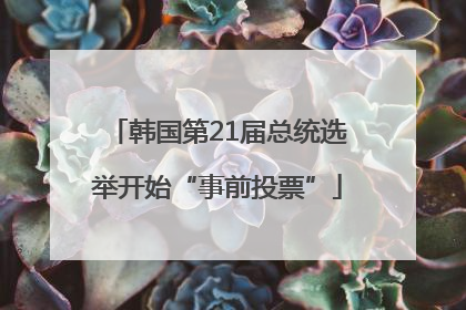 韩国第21届总统选举开始“事前投票”