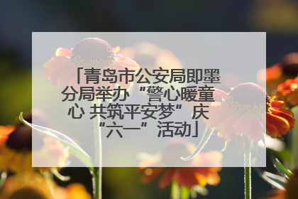青岛市公安局即墨分局举办“警心暖童心 共筑平安梦”庆“六一”活动