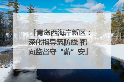 青岛西海岸新区：深化指导筑防线 靶向监督守“薪”安