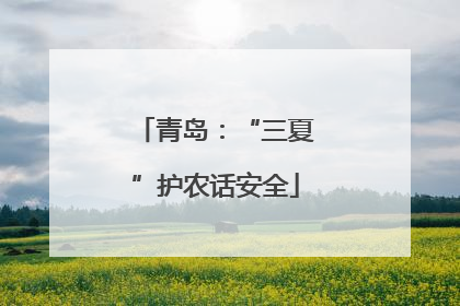 青岛：“三夏”护农话安全
