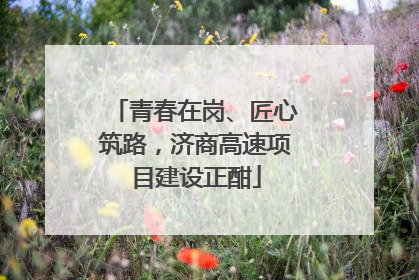 青春在岗、匠心筑路，济商高速项目建设正酣