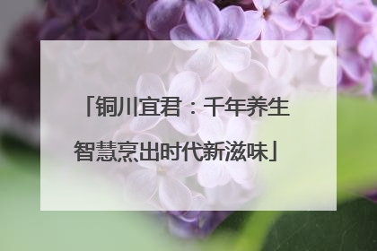 铜川宜君：千年养生智慧烹出时代新滋味