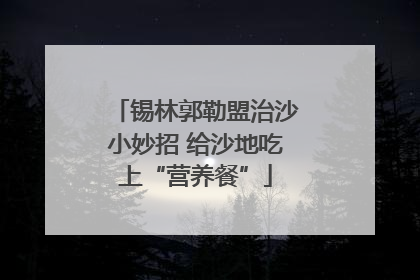 锡林郭勒盟治沙小妙招 给沙地吃上“营养餐”