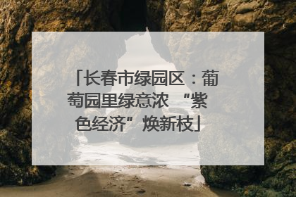 长春市绿园区：葡萄园里绿意浓 “紫色经济”焕新枝