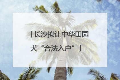 长沙拟让中华田园犬“合法入户”