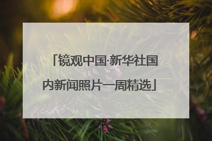 镜观中国·新华社国内新闻照片一周精选