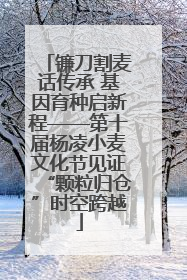 镰刀割麦话传承 基因育种启新程——第十届杨凌小麦文化节见证“颗粒归仓”时空跨越
