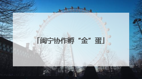 闽宁协作孵“金”蛋