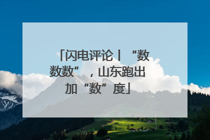 闪电评论丨“数数数”，山东跑出加“数”度