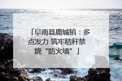 阜南县鹿城镇：多点发力 筑牢秸秆禁烧“防火墙”