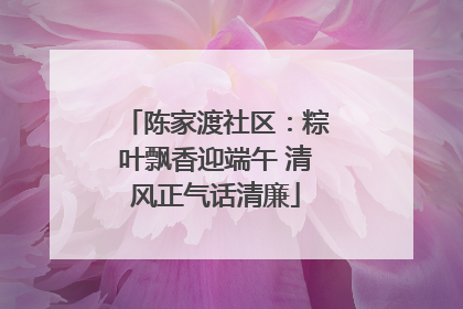 陈家渡社区：粽叶飘香迎端午 清风正气话清廉