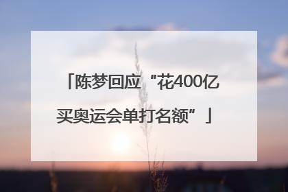 陈梦回应“花400亿买奥运会单打名额”