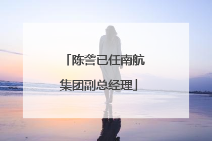 陈詟已任南航集团副总经理