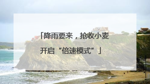降雨要来，抢收小麦开启“倍速模式”