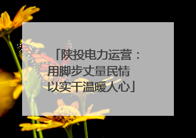 陕投电力运营：用脚步丈量民情 以实干温暖人心