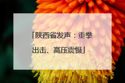 陕西省发声：重拳出击、高压震慑
