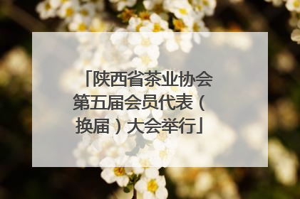 陕西省茶业协会第五届会员代表（换届）大会举行