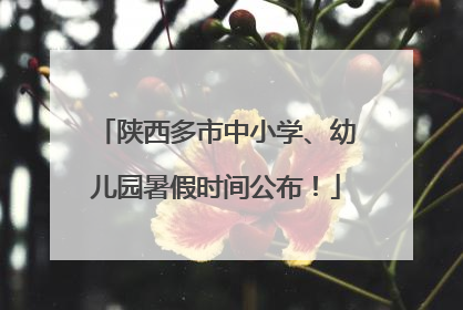 陕西多市中小学、幼儿园暑假时间公布！