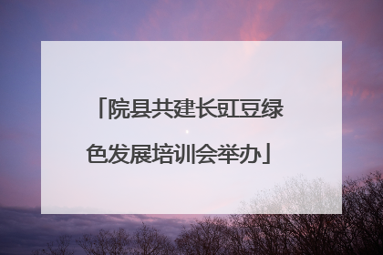 院县共建长豇豆绿色发展培训会举办