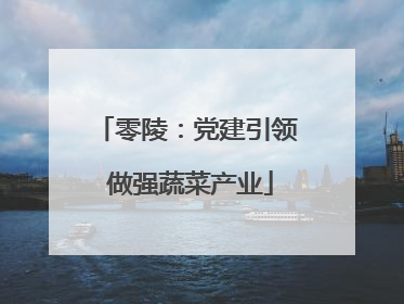 零陵：党建引领 做强蔬菜产业