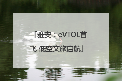 雅安：eVTOL首飞 低空文旅启航