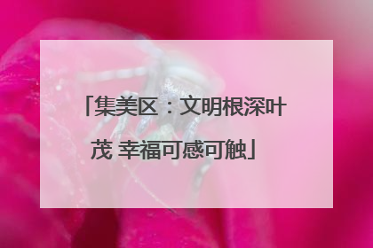 集美区：文明根深叶茂 幸福可感可触