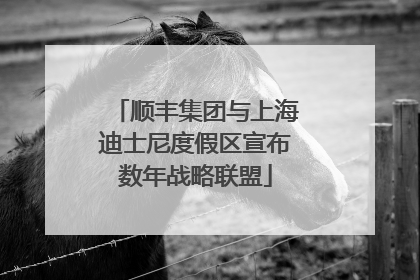 顺丰集团与上海迪士尼度假区宣布数年战略联盟