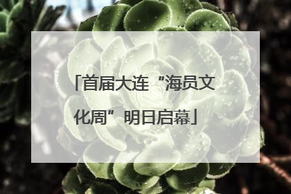 首届大连“海员文化周”明日启幕