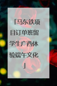 马东铁项目订单班留学生广西体验端午文化