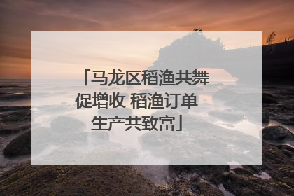 马龙区稻渔共舞促增收 稻渔订单生产共致富